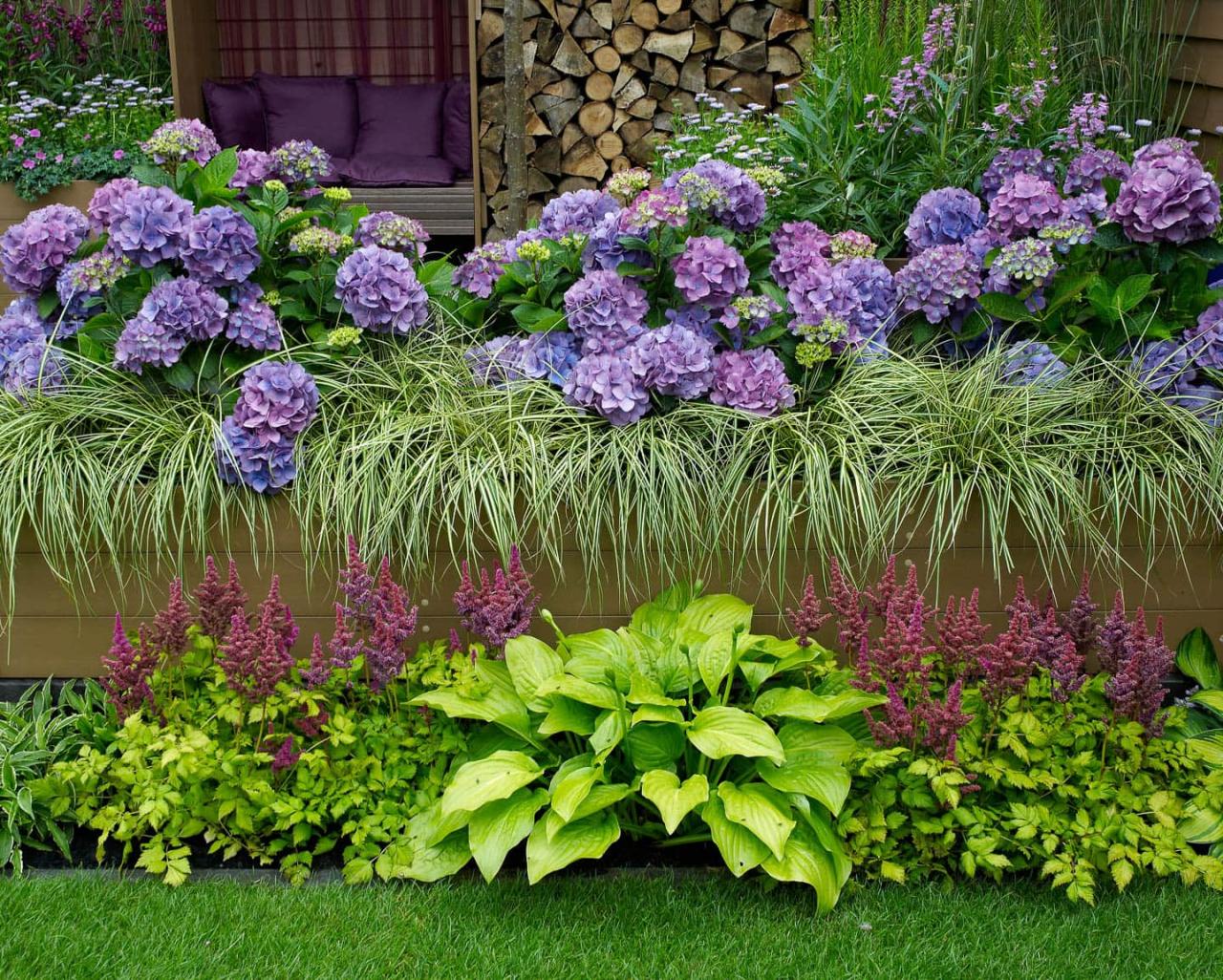 How to Create a Hydrangea Hedge With Beautiful Companion Plants