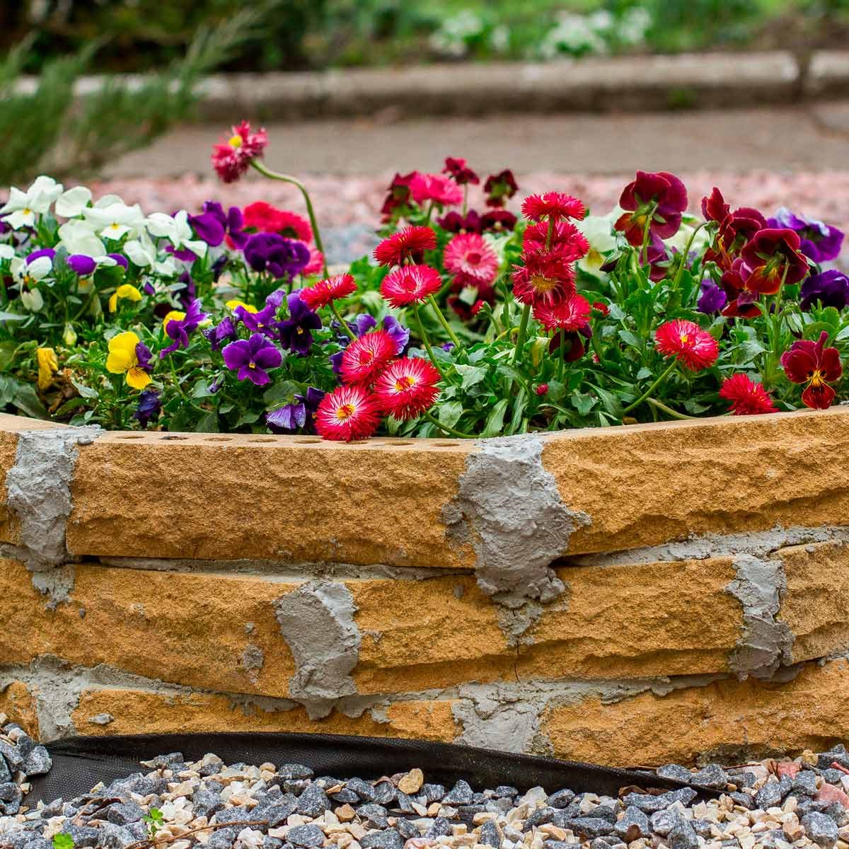 The Worst Flower Choices for Raised Beds